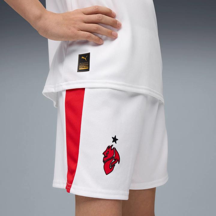 Actual product image Puma ACM Shorts Replica Jr (140)