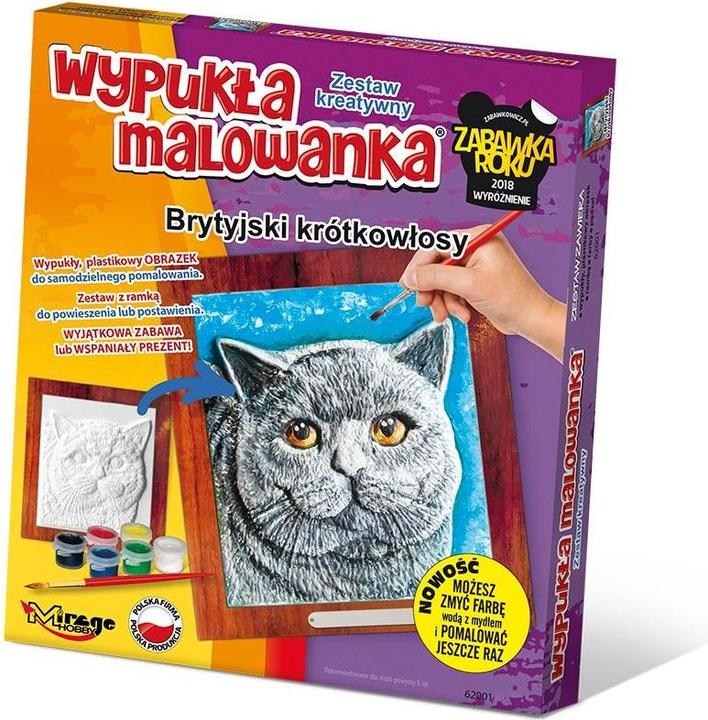 Image du produit Mirage Kit créatif chat myope britannique