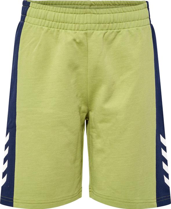 Actual product image hummel Hmlrush Block Shorts (146)