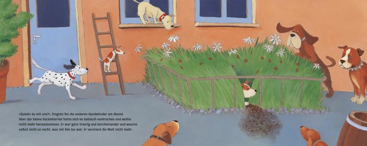Produktbild Fips versteht die Welt nicht mehr (Deutsch, Jeanette Randerath, 2008)