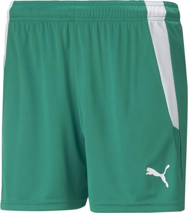 Actual product image Puma teamLIGA Shorts W-704936 (M)