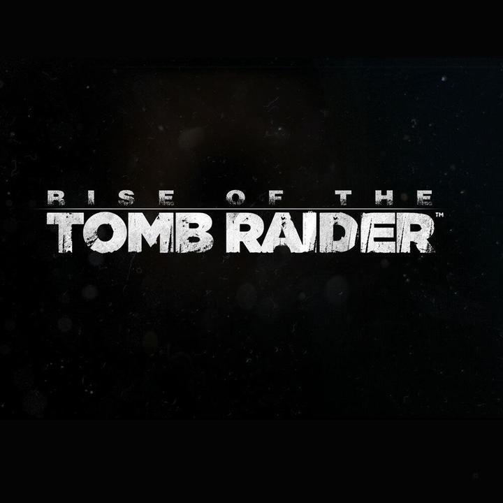 Produktbild Square Enix Rise of the Tomb Raider (PS4, DE)