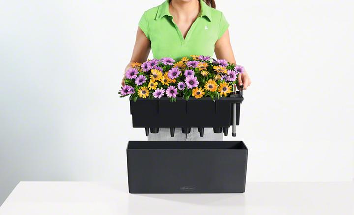 Produktbild Lechuza Balconera Color (19 cm)
