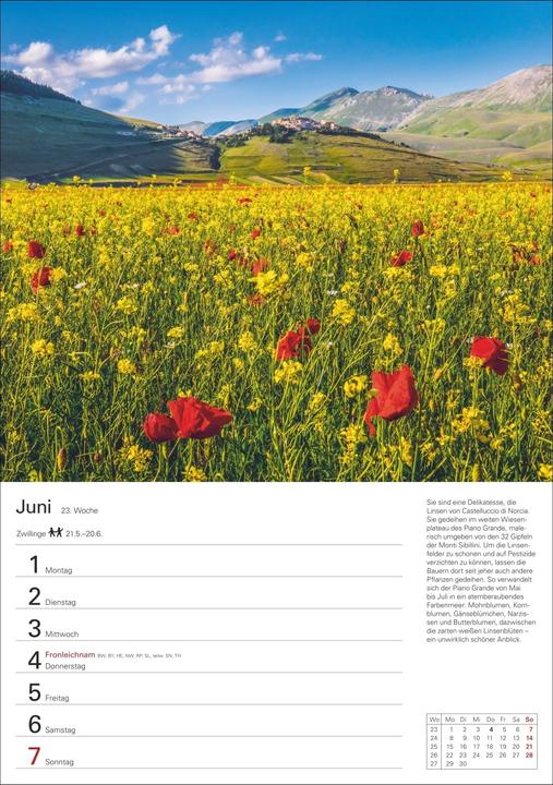 Actual product image Harenberg Italien Wochenplaner 2026 - Eine Reise in 53 Bildern (German)
