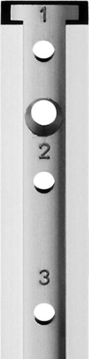 Actual product image Aweso Actuator rails 1000 type 1, for light loads (1 pcs.)