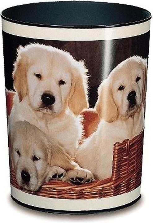 Läufer Chiens (13 l)