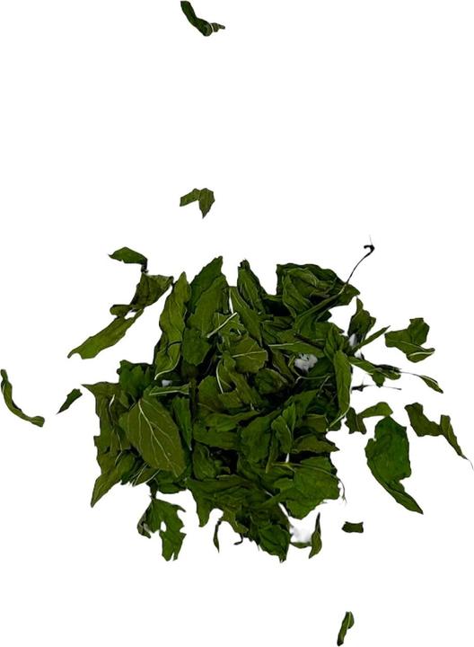 Produktbild Hasensprung Kräuter Marokkanische Minze, Bio, 30g (30 g)
