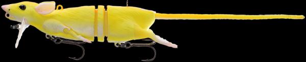 Golden Albino