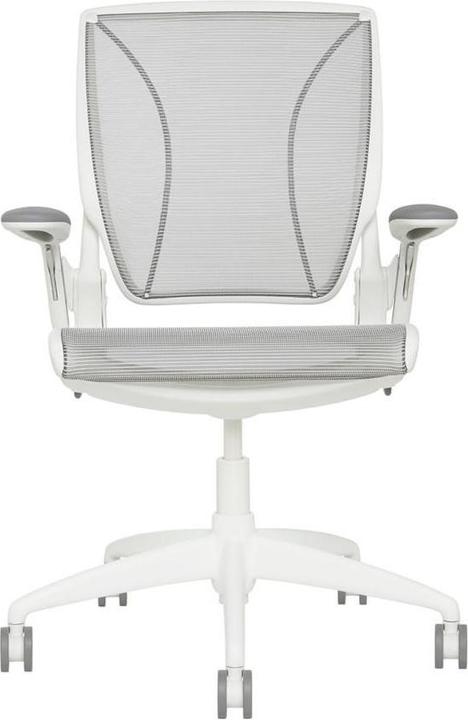 Actual product image Humanscale Diffrient World Chair Office Chair W11WN01N01, white