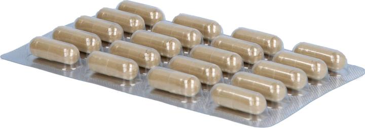 Immagine prodotto Luvos Capsule di terra curativa per il bruciore di stomaco, 60 capsule (60 Pezzo/i)