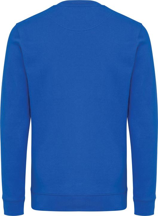 Immagine prodotto Universal Textiles Zion Felpa Girocollo Adulto Unisex (XXL)