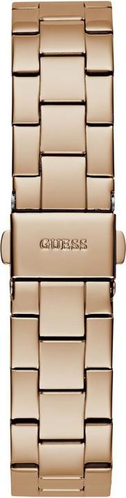 Image du produit Guess Fauve GW0686L3