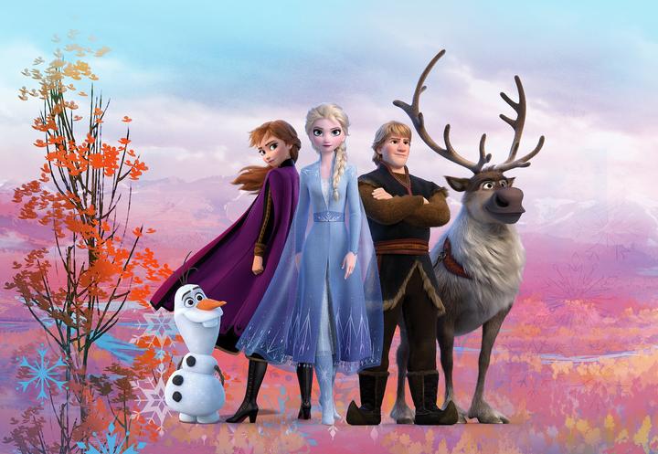 Actual product image Frozen Iconic (368 x 254 cm)