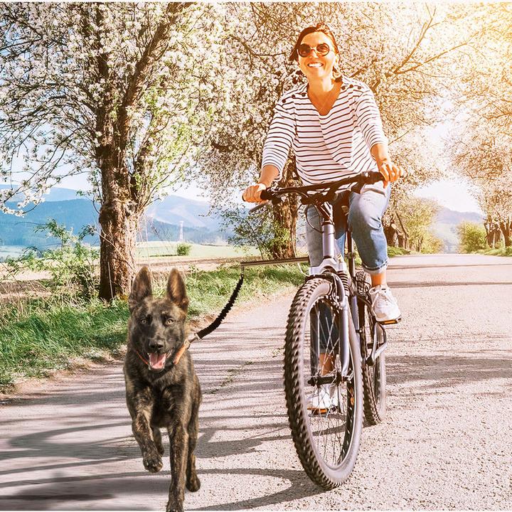 Produktbild Swisspet Run (Hund, Reflektoren)