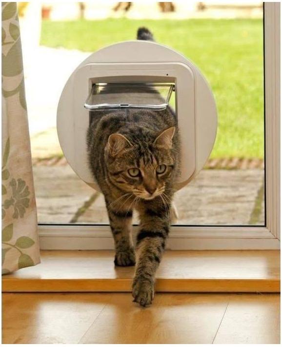 Productafbeelding SureFlap Glas installatie adapter (Handmatig kattenluik)