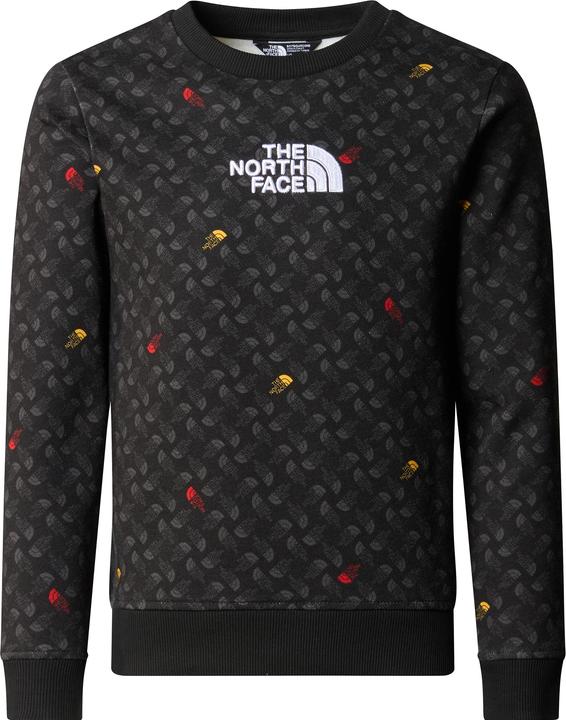 North Face Boy's Drew Pealight Crew Print