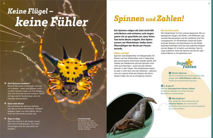 Actual product image Tessloff WAS IST WAS Spinnen. Akrobaten auf acht Beinen (German, Inga Marie Ramcke, 2024)
