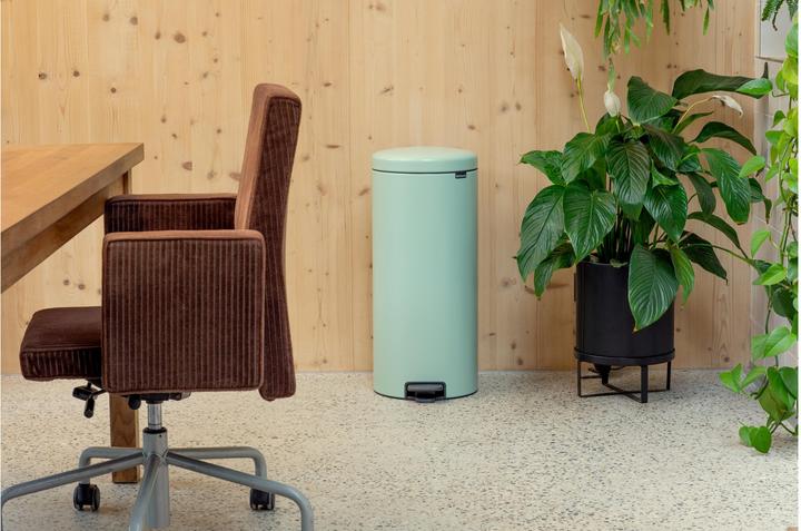 Image du produit Brabantia newIcon (30 l)