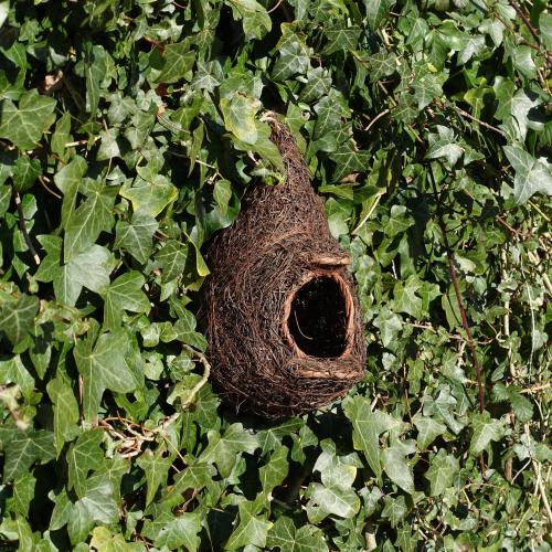 Produktbild Wildlife World Vogelnest Rothkehlchen