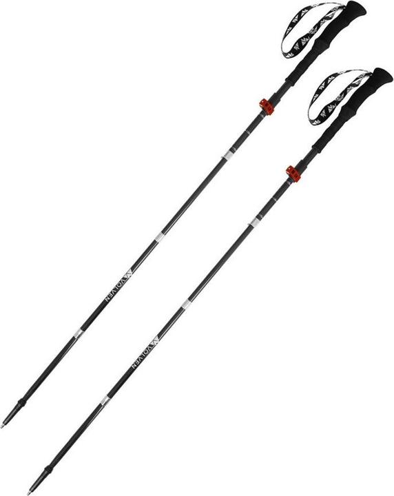 Volven Expert Poles carbon-red