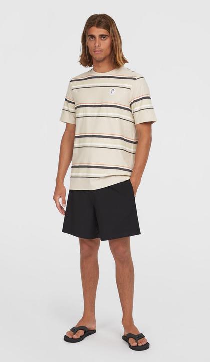 Image du produit O'Neill O'Riginals Cali Ocean 16" Swimshorts (L)