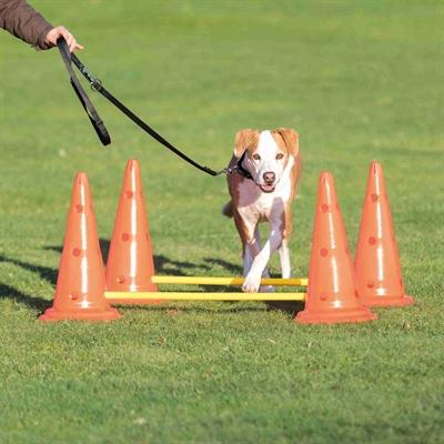 Produktbild Trixie Dog Activity (S, Agility)