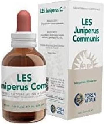 Actual product image Forza Vitale Juniperus Communis Juniper (Eau de parfum, 50 ml)