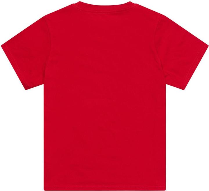 Actual product image Troy Lee Designs T-Shirt, Signature, team red, youth L (L)