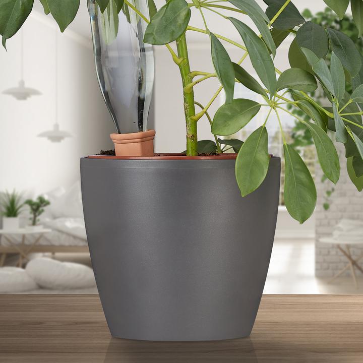 Actual product image Relaxdays Watering spikes (Clay cone)