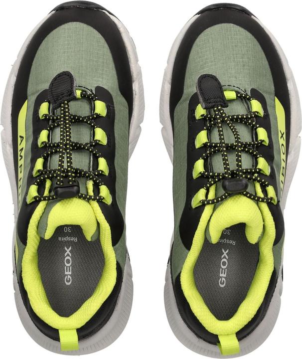 Image du produit Geox Sneaker (31)