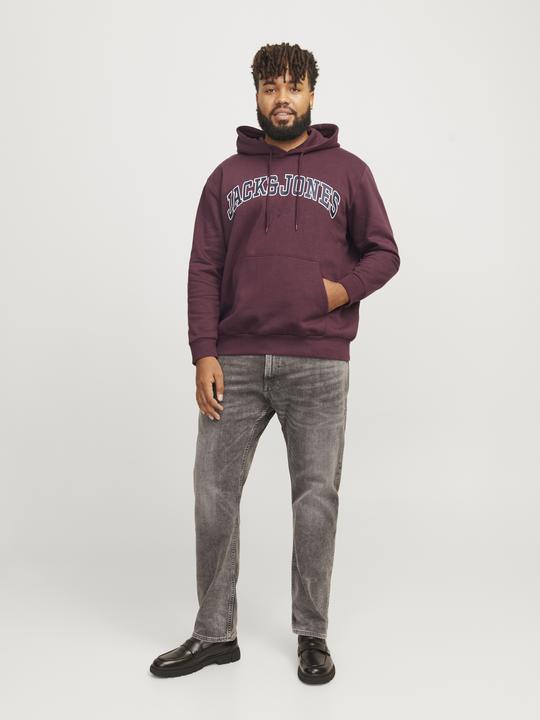 Immagine prodotto Jack & Jones Jjecaleb Varsity Sweat Hood Noos Pls (3XL)