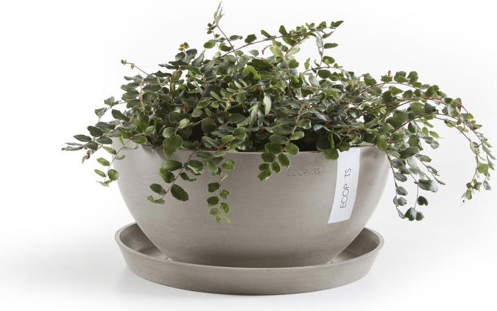 Immagine prodotto Ecopots Saucer Rund 21