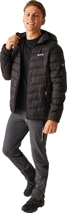 Produktbild Regatta Hillpack II Steppjacke (L)