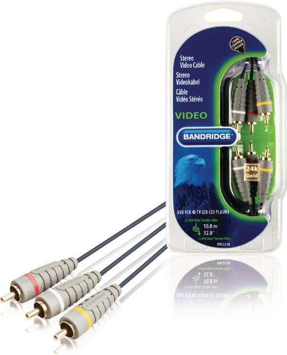 Immagine prodotto Bandridge BVL5310 (10 m, Cinch)