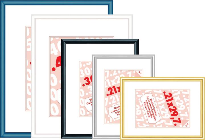 Image du produit Debex Cadre à clipser en plastique (50 x 70 cm)