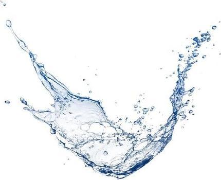 Image du produit Elkaderm Gel liquide Neutrea (Gel coiffant, 100 ml)
