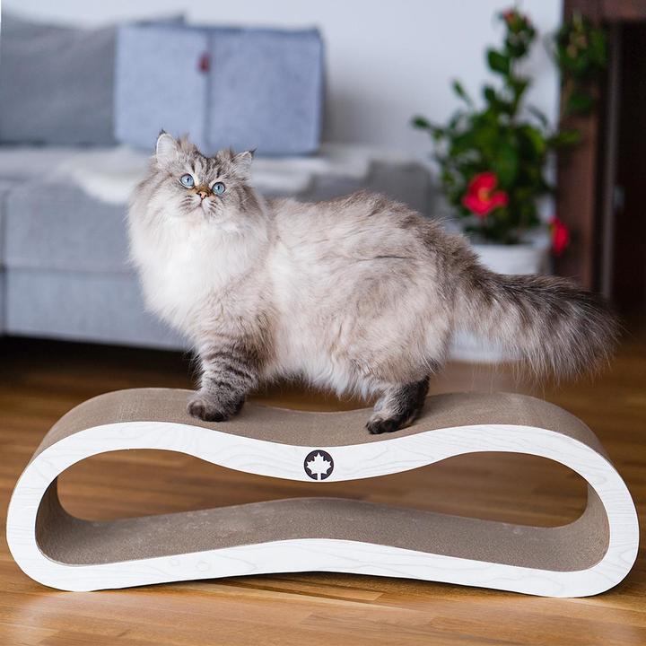 Produktbild CanadianCat Kratzmöbel Orbit 2.0, Hellgrau Holzoptik (23 cm, Hellgrau)