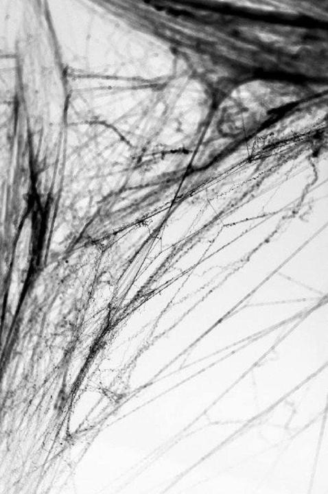 Actual product image Partydeco Black spider web (60g)