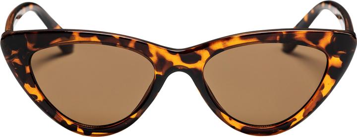 Tartaruga Marrone