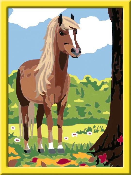 Actual product image Ravensburger Cheval et nature