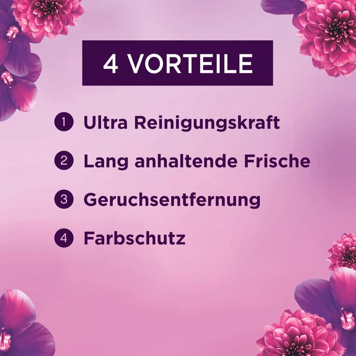 Actual product image Lenor Amethyst Flower Dream (100 Washing cycles, Liquid detergent)