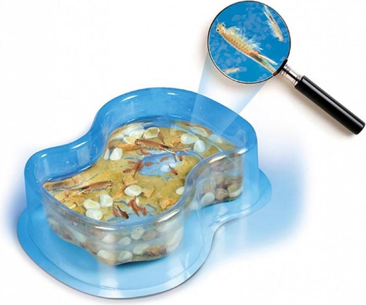Produktbild Clementoni Galileo: So züchtest du Salzkrebse