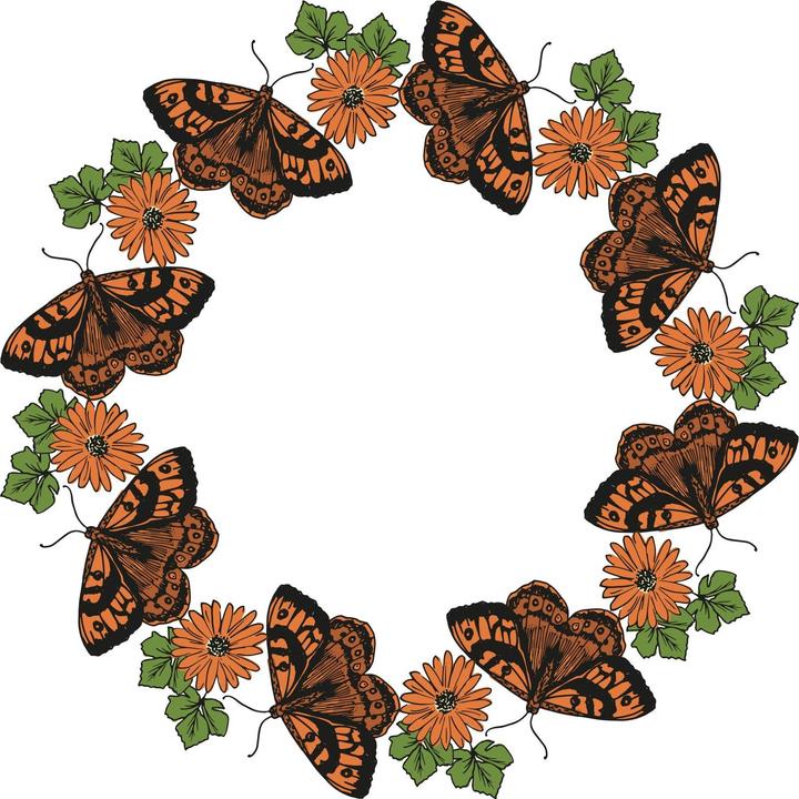 Immagine prodotto Sizzix Set di francobolli trasparenti "Farfalle della natura
