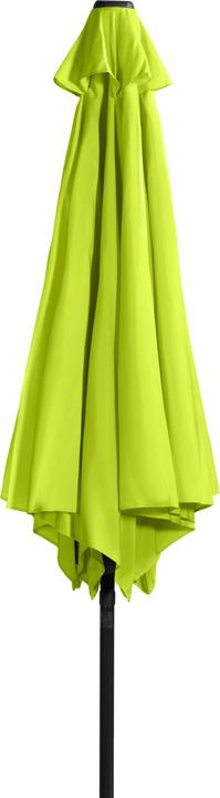 Actual product image Derby Basic Lift Neo (3 m)
