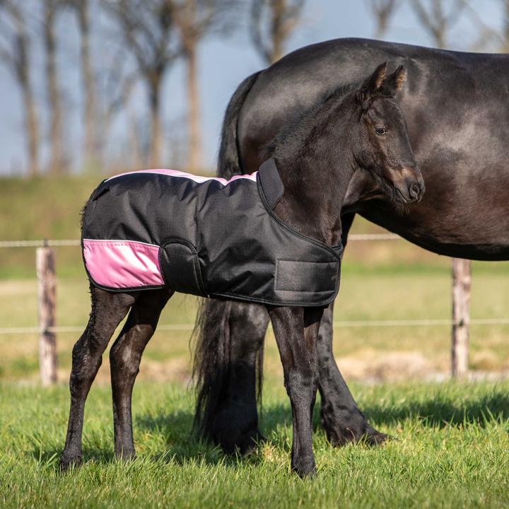 Produktbild Harry's Horse TwoTone 200 gr