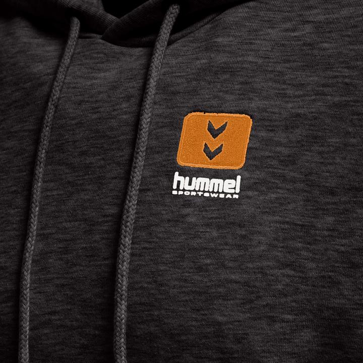 Actual product image hummel Lgc Liam Hoodie (S)