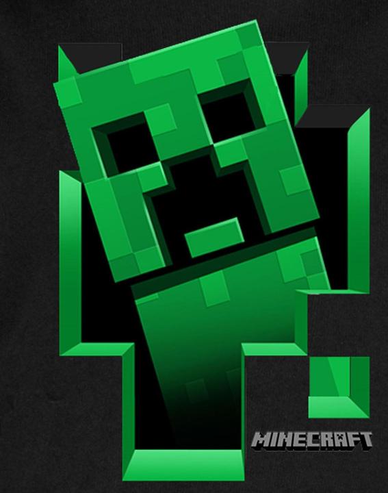 Produktbild Minecraft Inside Kapuzenpullover (164)