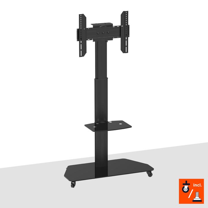 Actual product image Celexon Trolley Adjust-3770MP (70", 50 kg)