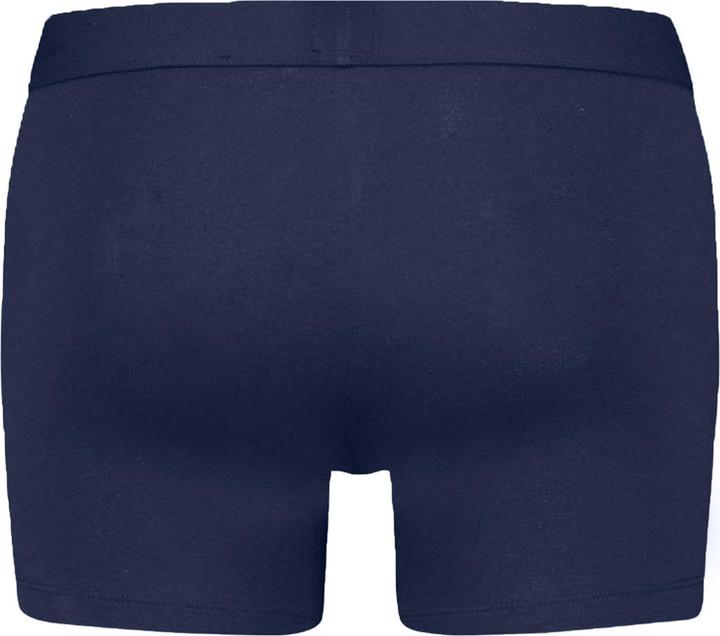 Produktbild Levis Basic BoxerBrief (S, 2er Pack)