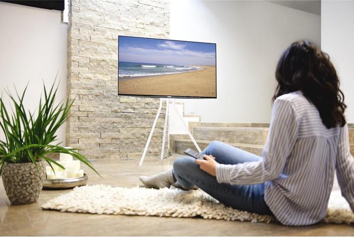 Image du produit Hama Support TV, Chevalet sur pied, réglable en hauteur, 191 cm (75") jusqu'à 40 kg (75", 40 kg)